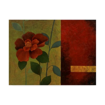 Pablo Esteban 'Red Flower Over Dark Panels 2' Canvas Art,14x19